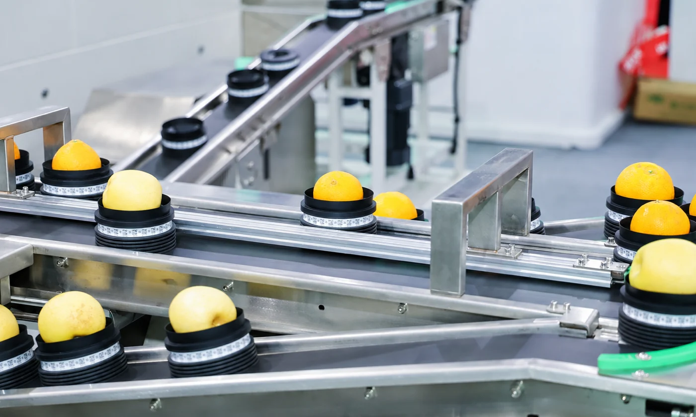 Automated fruit sorting and grading equipment