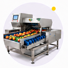 Automated fruit grading and sorting equipment